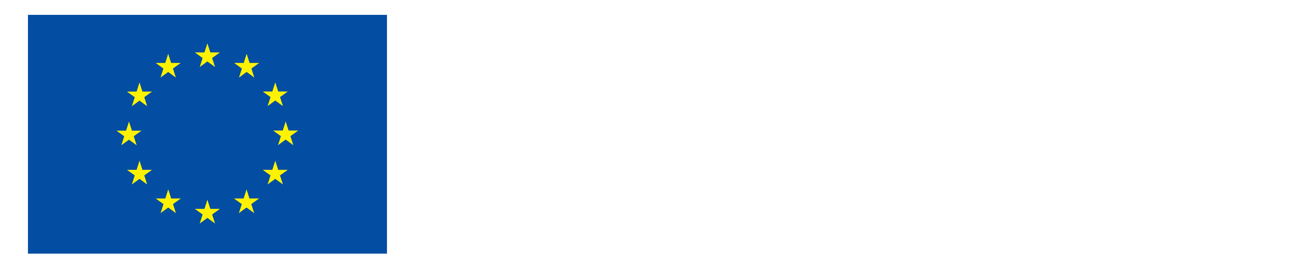 DE Kofinanziert von der Europäischen Union_NEG